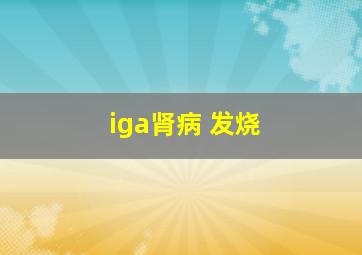 iga肾病 发烧